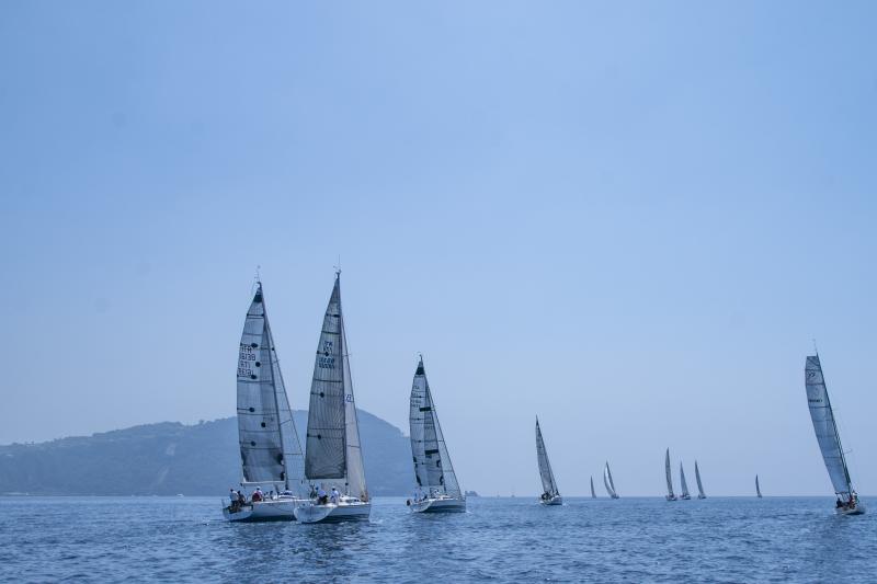 IMG7477