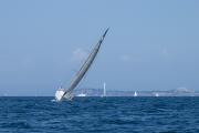 IMG7696