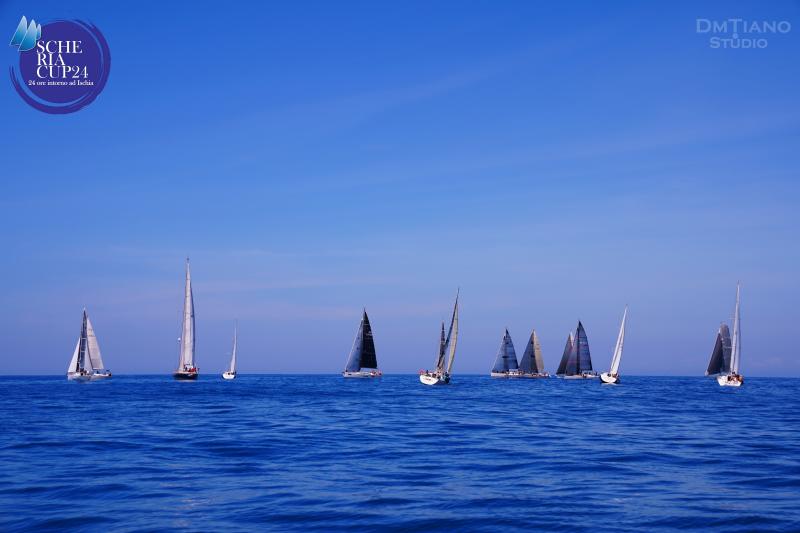 DSC02241-copia