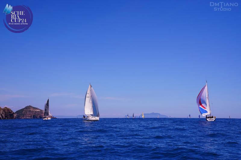 DSC02314-copia